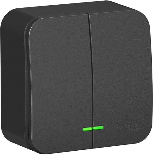 Выключатель с подсветкой накладной Systeme Electric Blanca 2-кл. антрацит картинка